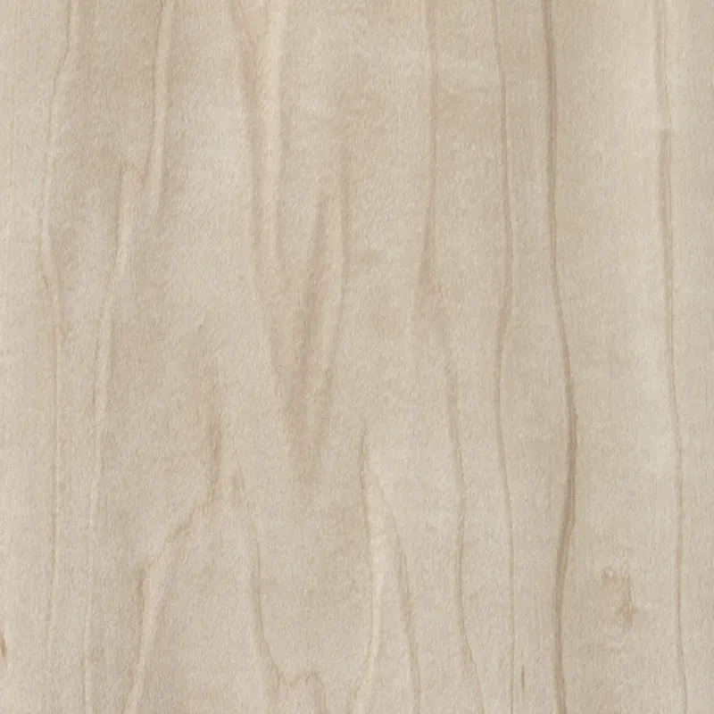Abedul Birch