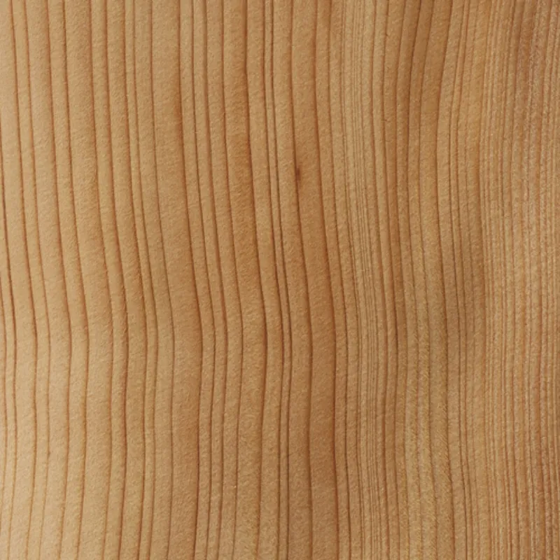 Cedro Cedar