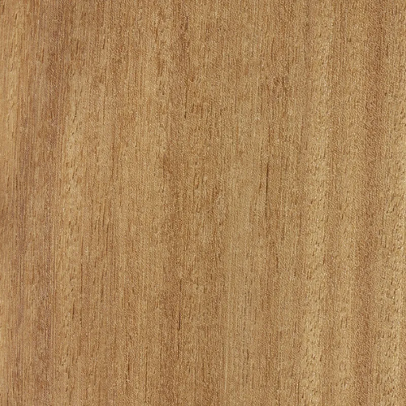 Iroko