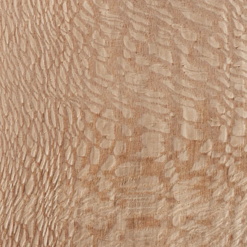 Louro Faia Lacewood