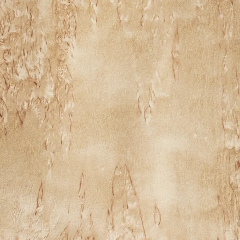 Lupa De Abedul Birch Burl