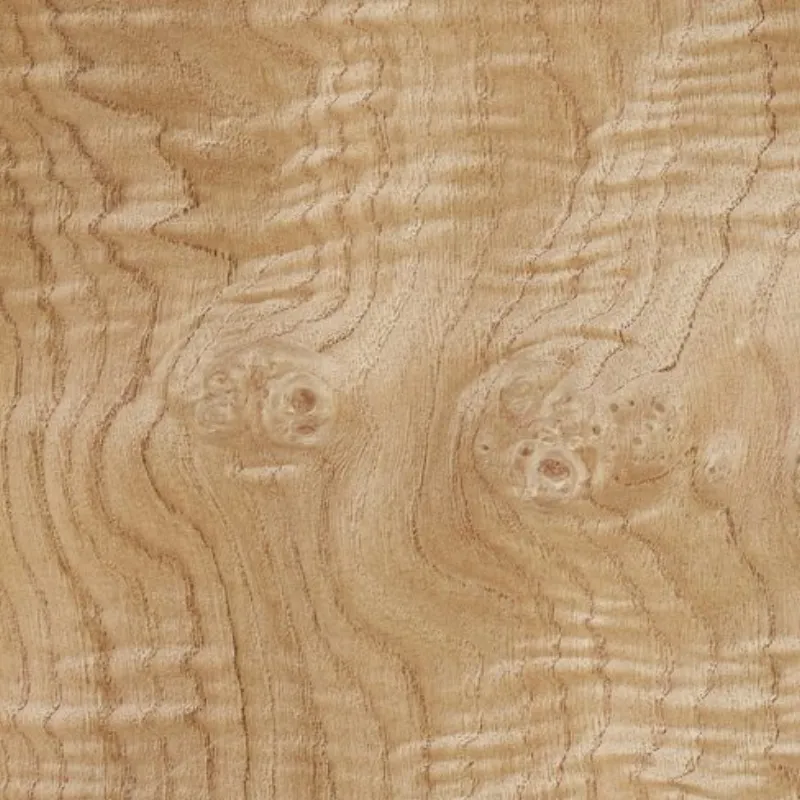 Lupa De Castano Chestnut Burl