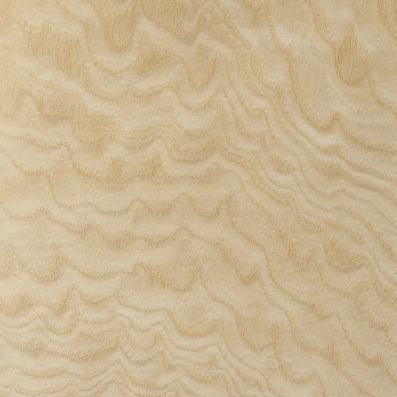 Lupa De Fresno Blanca White Ash Burl
