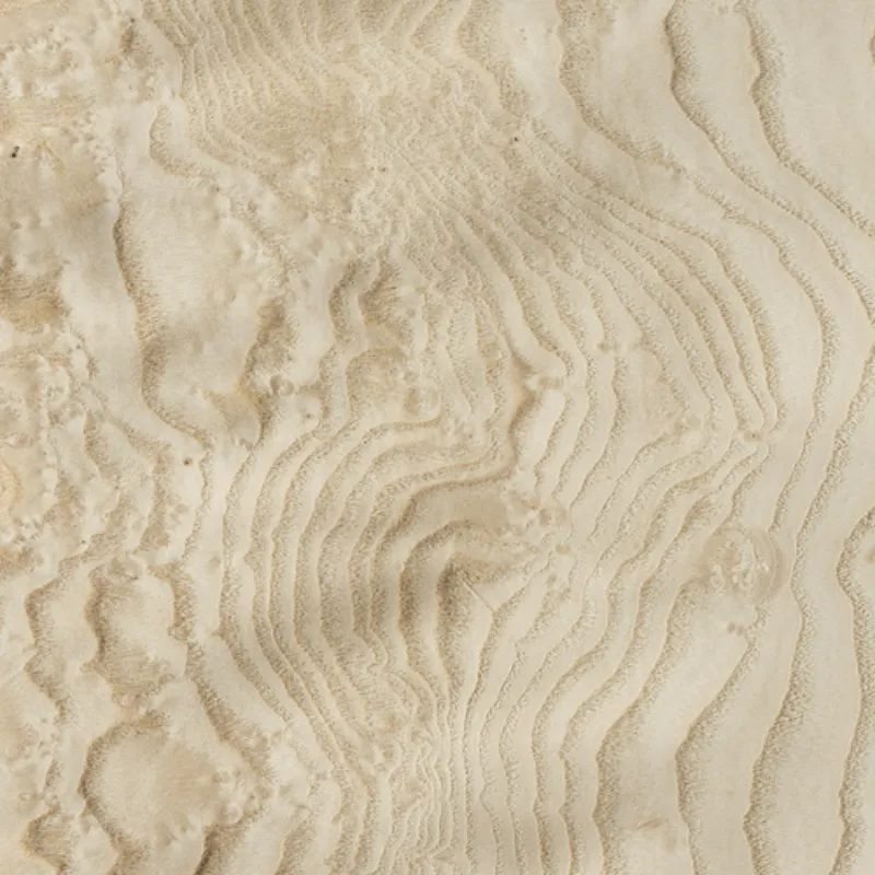 Lupa De Fresno Blanca White Ash Burl