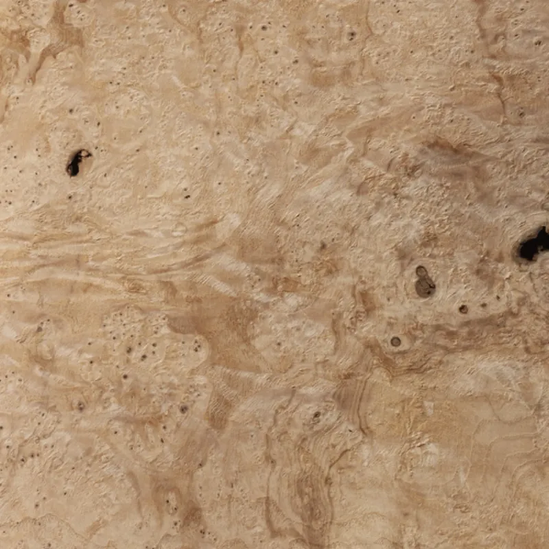 Lupa De Fresno Olivier Olive Ash Burl