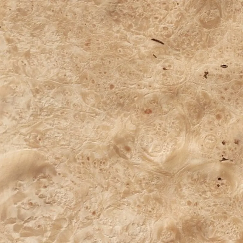 Lupa De Maple Maple Burl