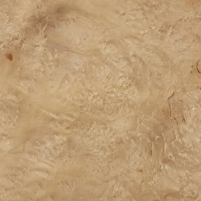 Lupa De Mirto Myrtle Burl