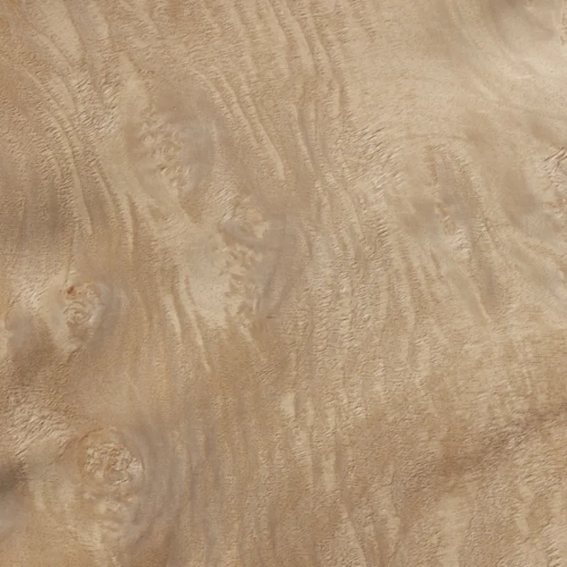 Lupa De Mirto Myrtle Burl