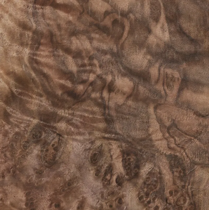 Lupa De Nogal Walnut Burl