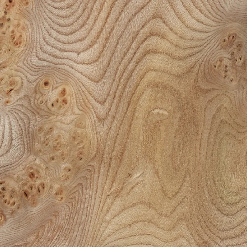 Lupa De Olmo Carpethyan Elm Burl