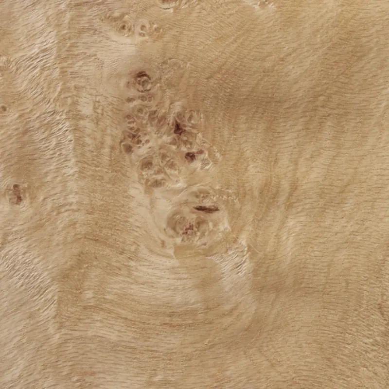 Lupa De Roble Oak Burl
