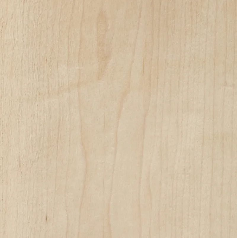 Maple Arce Maple