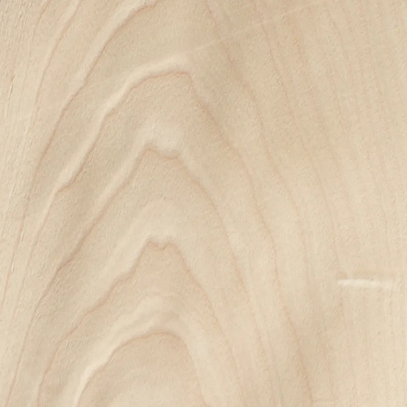 Maple Arce
