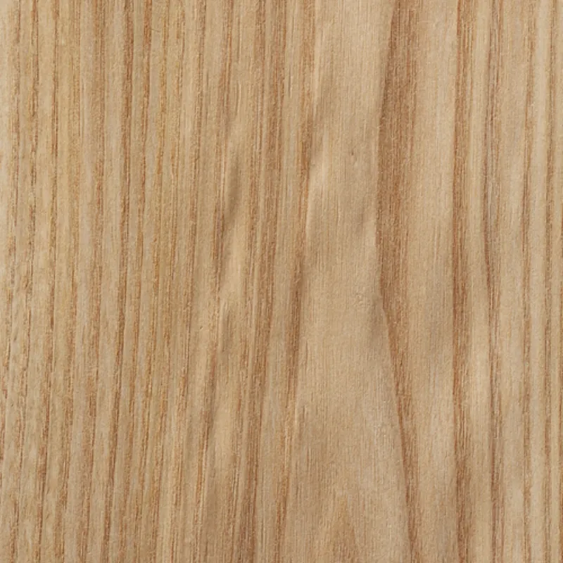 Olmo Rojo Red Elm