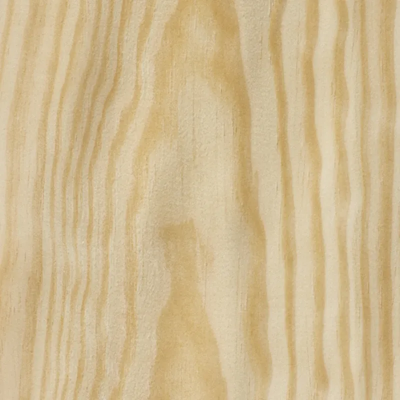 Pino Pine
