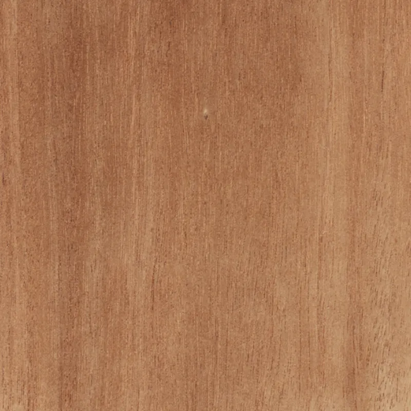 Samanguila African Mahogany Khaya