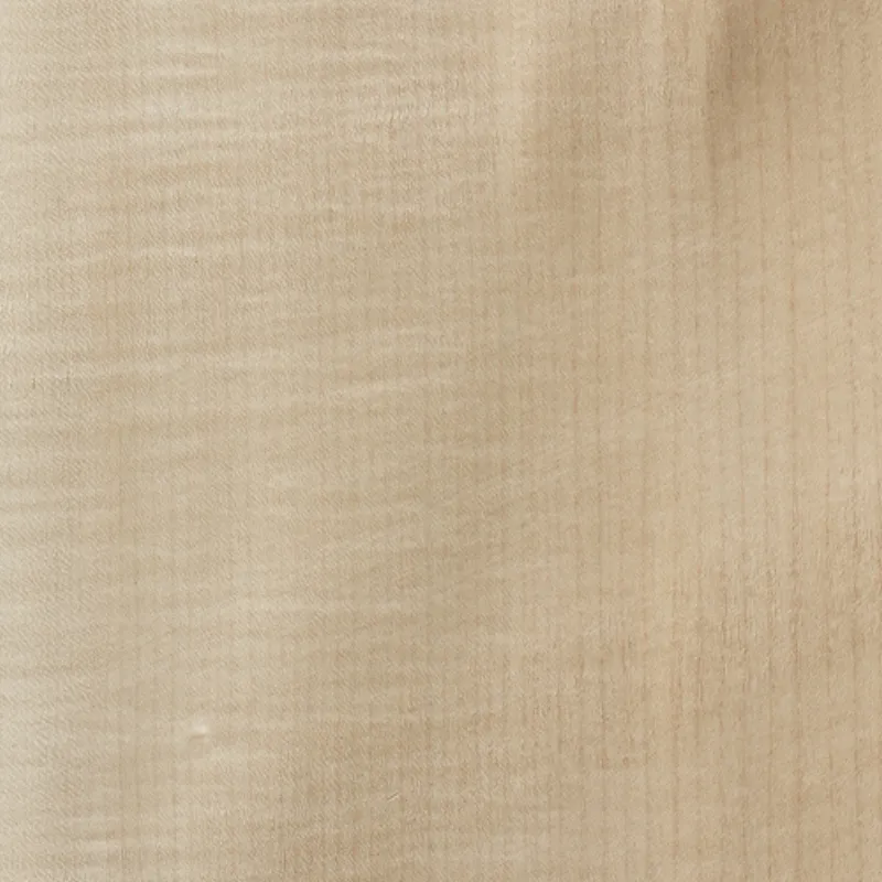 Sicomoro Sycamore