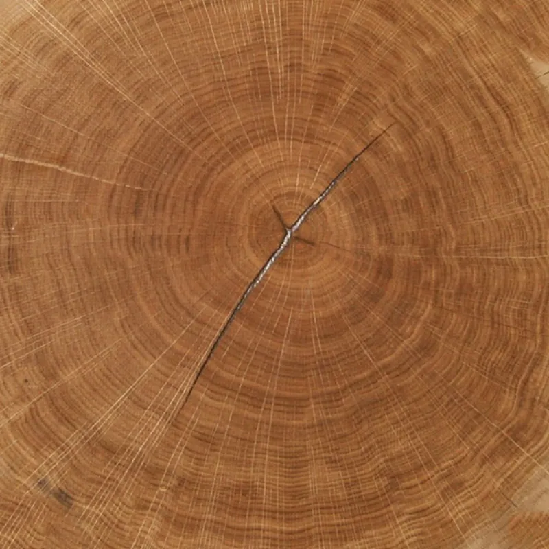 Oak End Grain