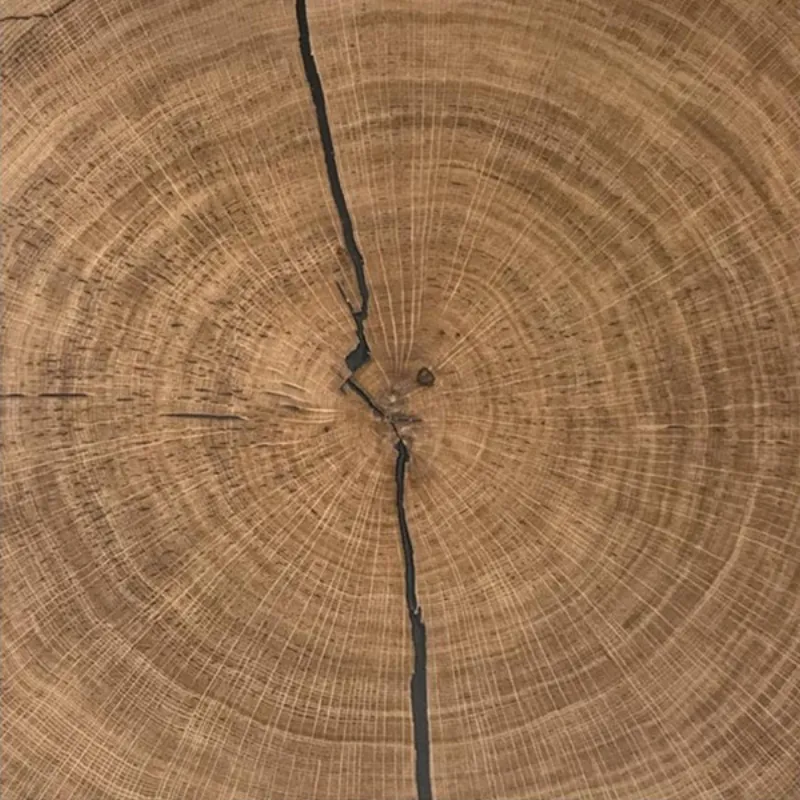 Textured Oak End Grain
