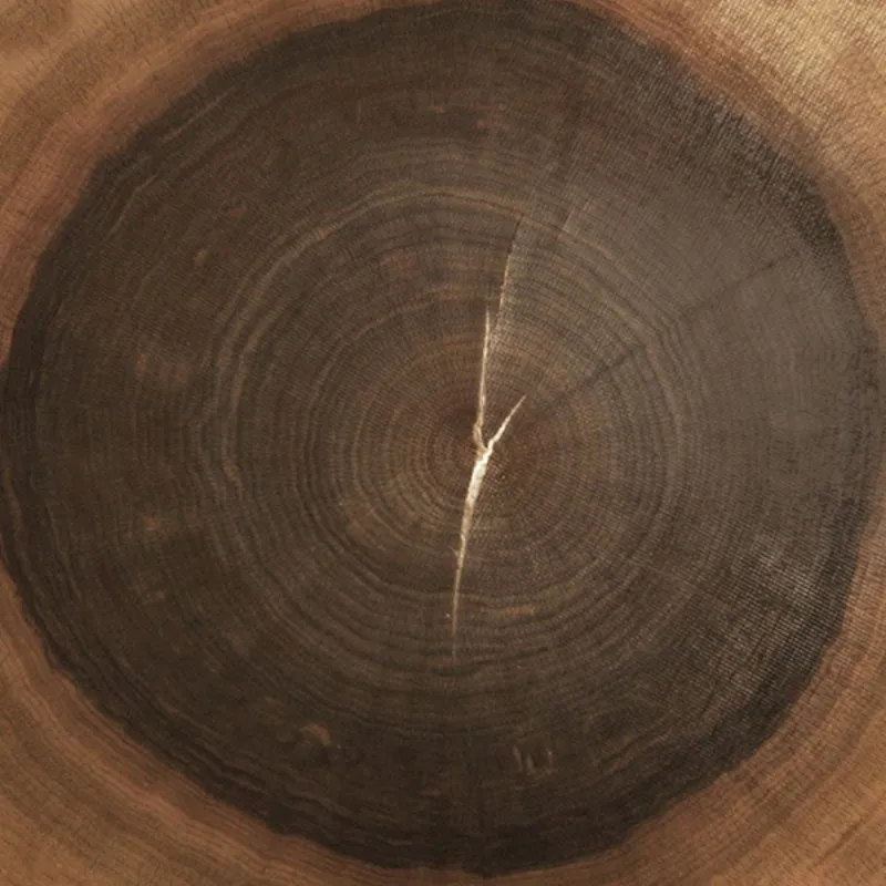 Walnut End Grain